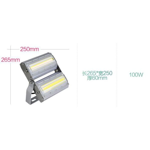 黑手專賣店 附發票 50~300W 高亮度 LED 芯片 COB 全電壓 照明燈 探照燈 廣場燈 戶外防水不銹鋼 結構